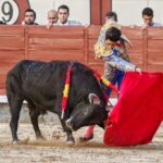 Madrid. Domingo 14 de octubre de 2018.