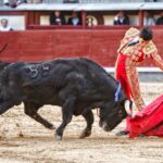 Madrid. Domingo 14 de octubre de 2018.