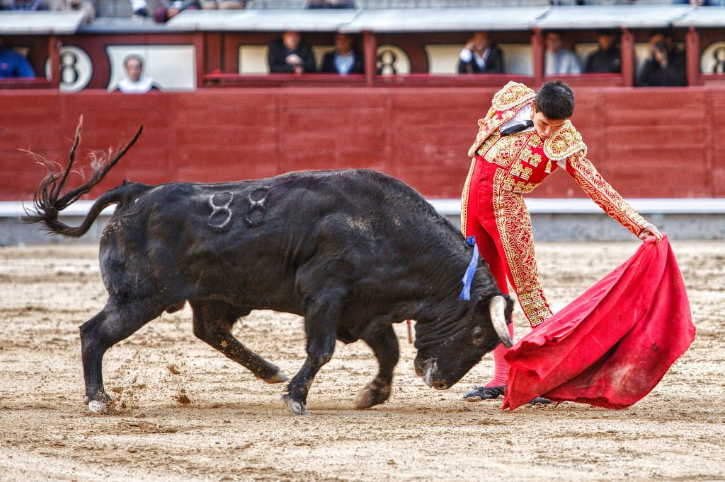 Madrid. Domingo 14 de octubre de 2018.