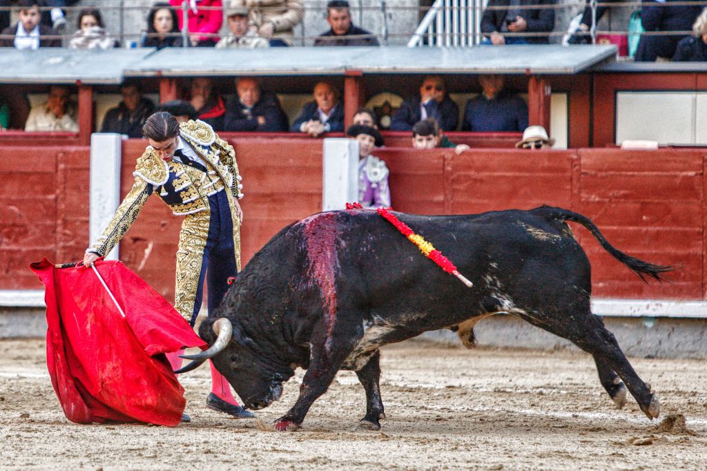 Madrid. Domingo 14 de octubre de 2018.