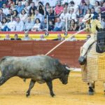 Illescas, 13 de octubre de 2018