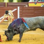 Illescas, 13 de octubre de 2018