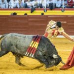 Illescas, 13 de octubre de 2018