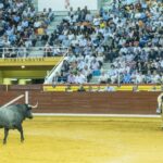 Illescas, 13 de octubre de 2018