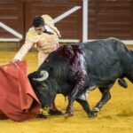 Illescas, 13 de octubre de 2018