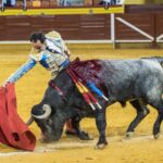 Illescas, 13 de octubre de 2018