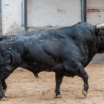 Madrid - Feria de Otoño - Sorteo - Domingo 7 de octubre de 2018