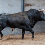 Madrid - Feria de Otoño - Sorteo - Domingo 7 de octubre de 2018