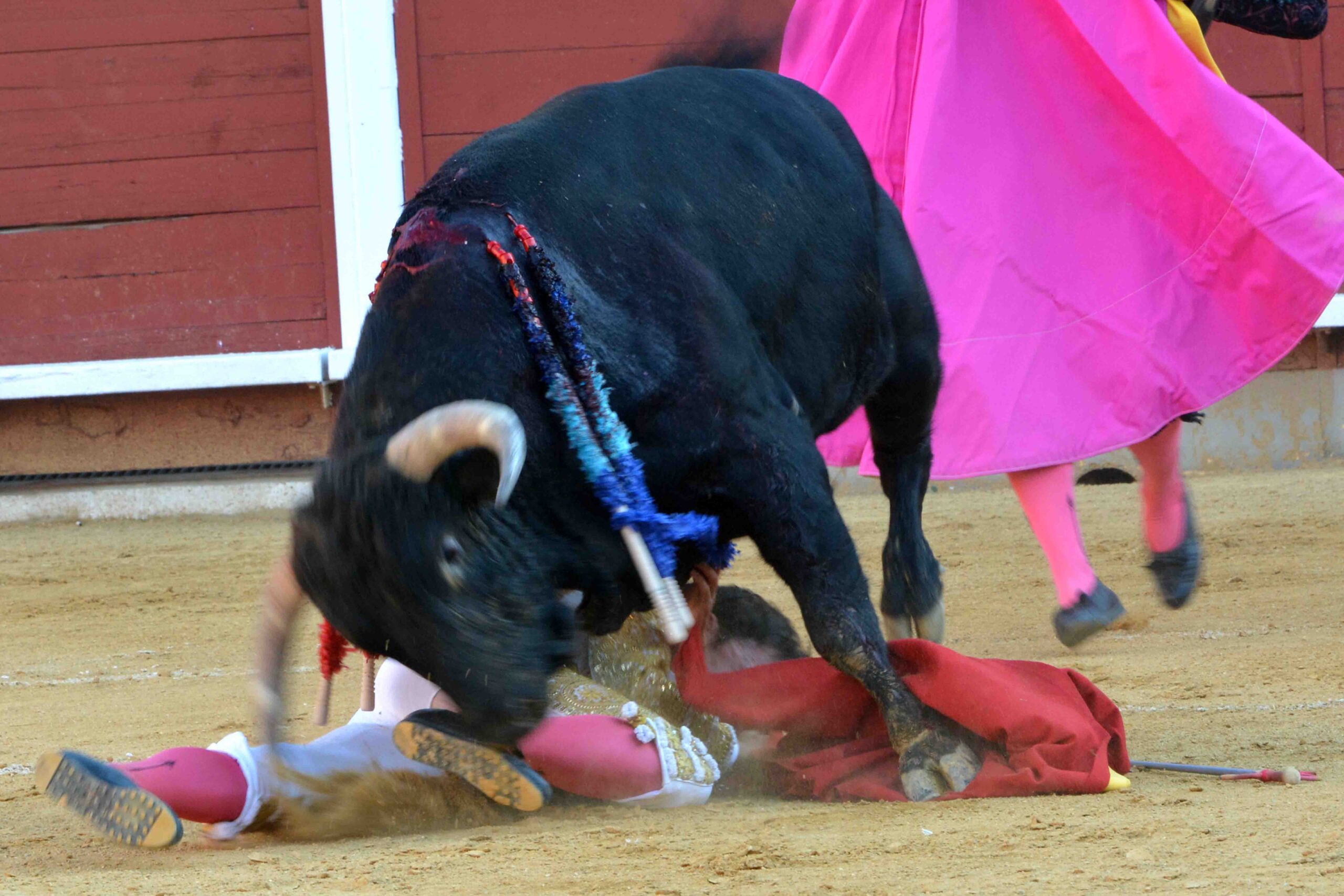 Susto de Filiberto en Montoro