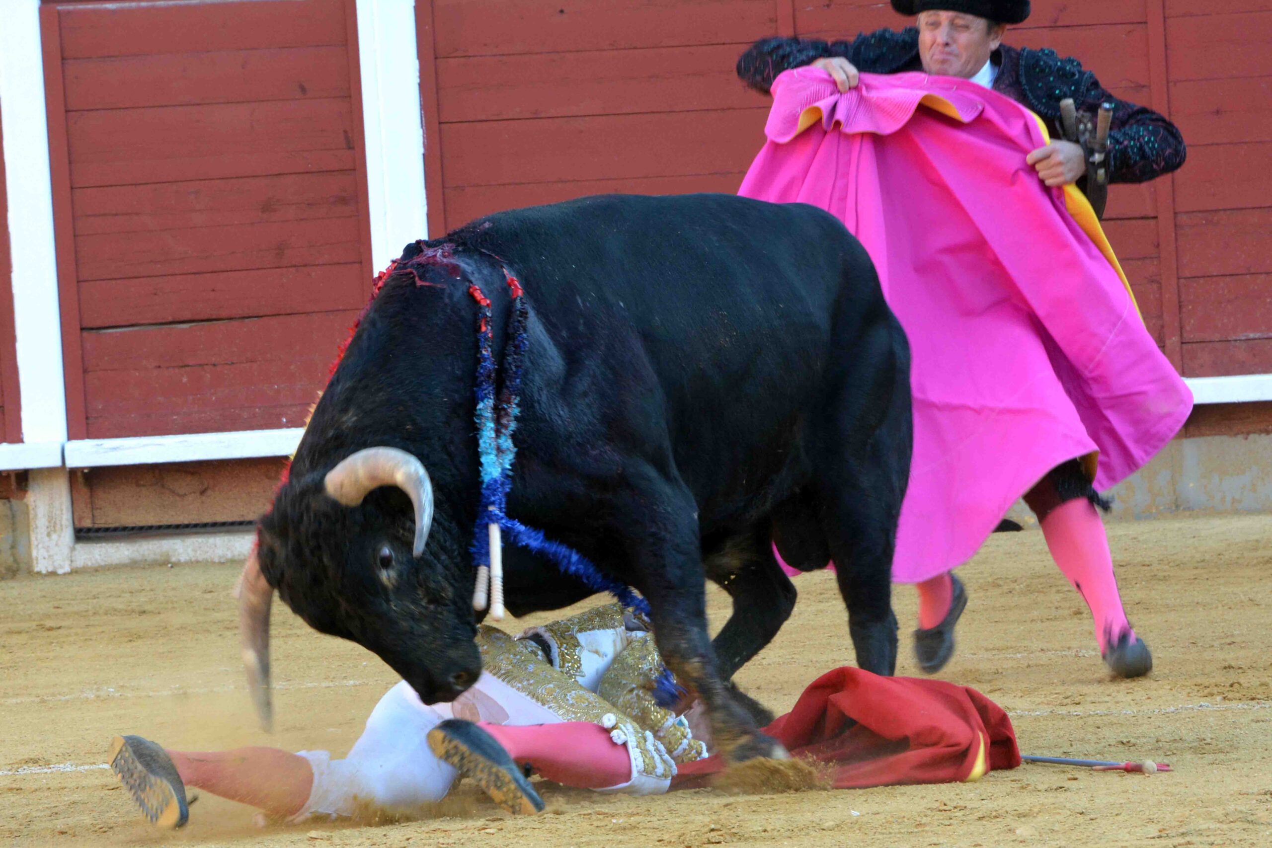 Susto de Filiberto en Montoro
