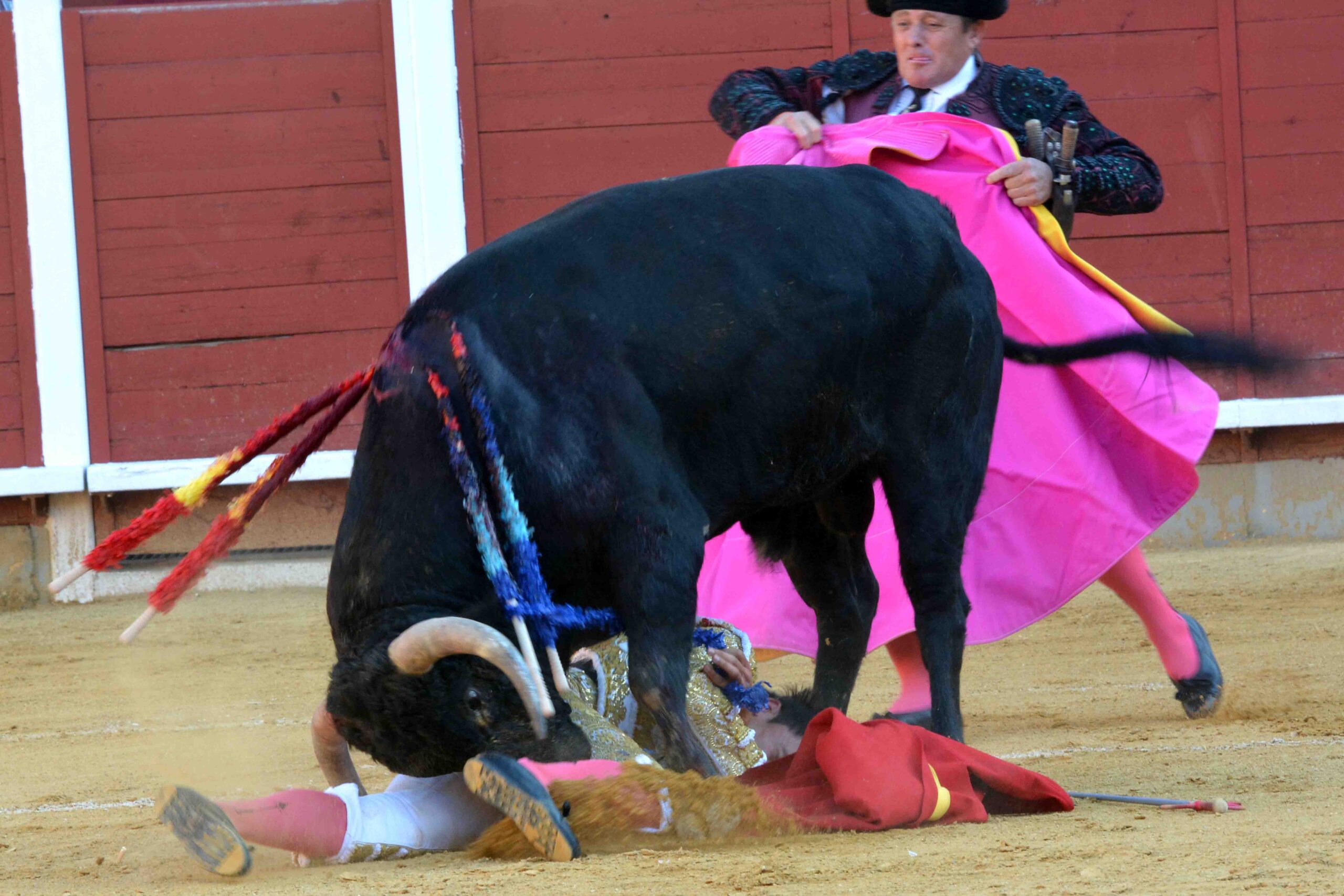 Susto de Filiberto en Montoro
