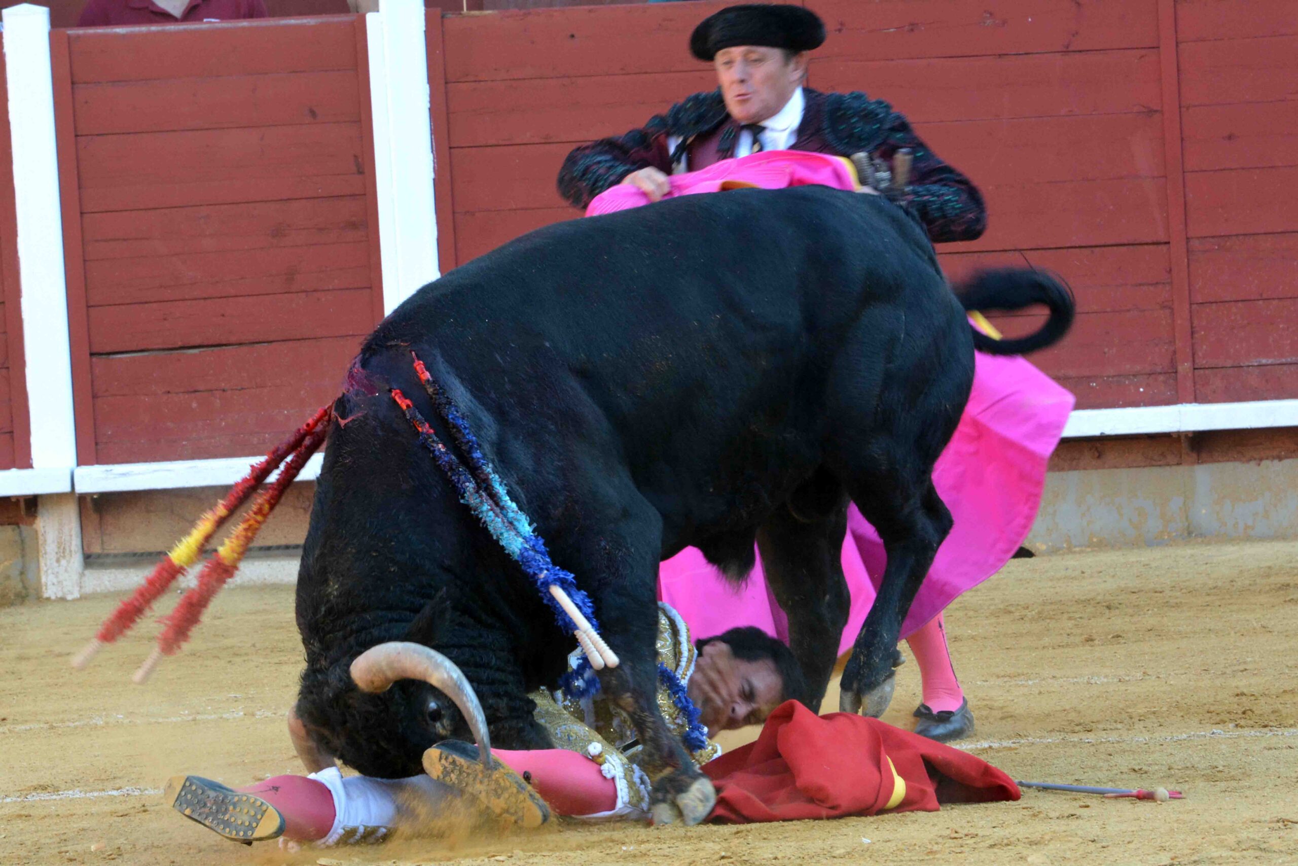 Susto de Filiberto en Montoro