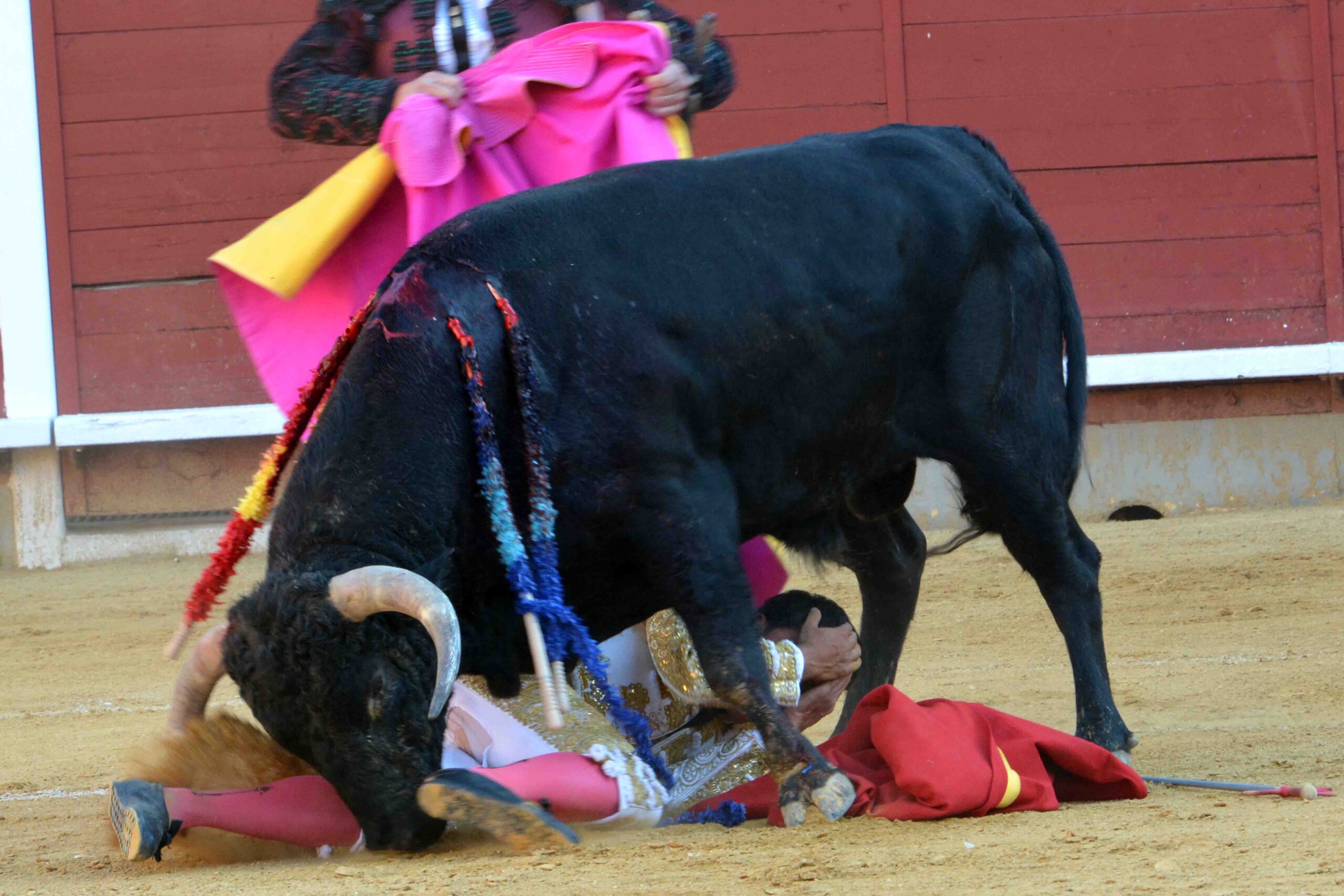 Susto de Filiberto en Montoro