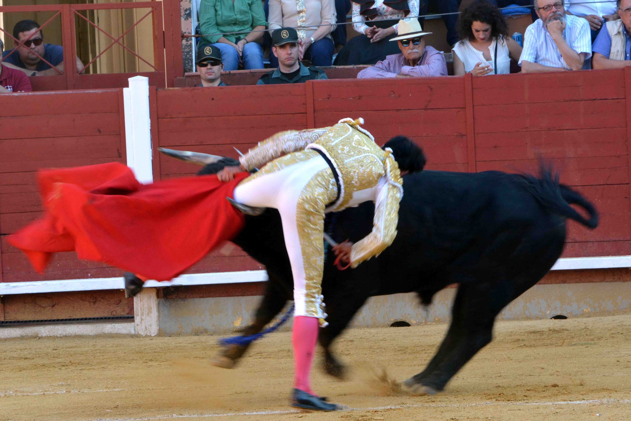 Susto de Filiberto en Montoro