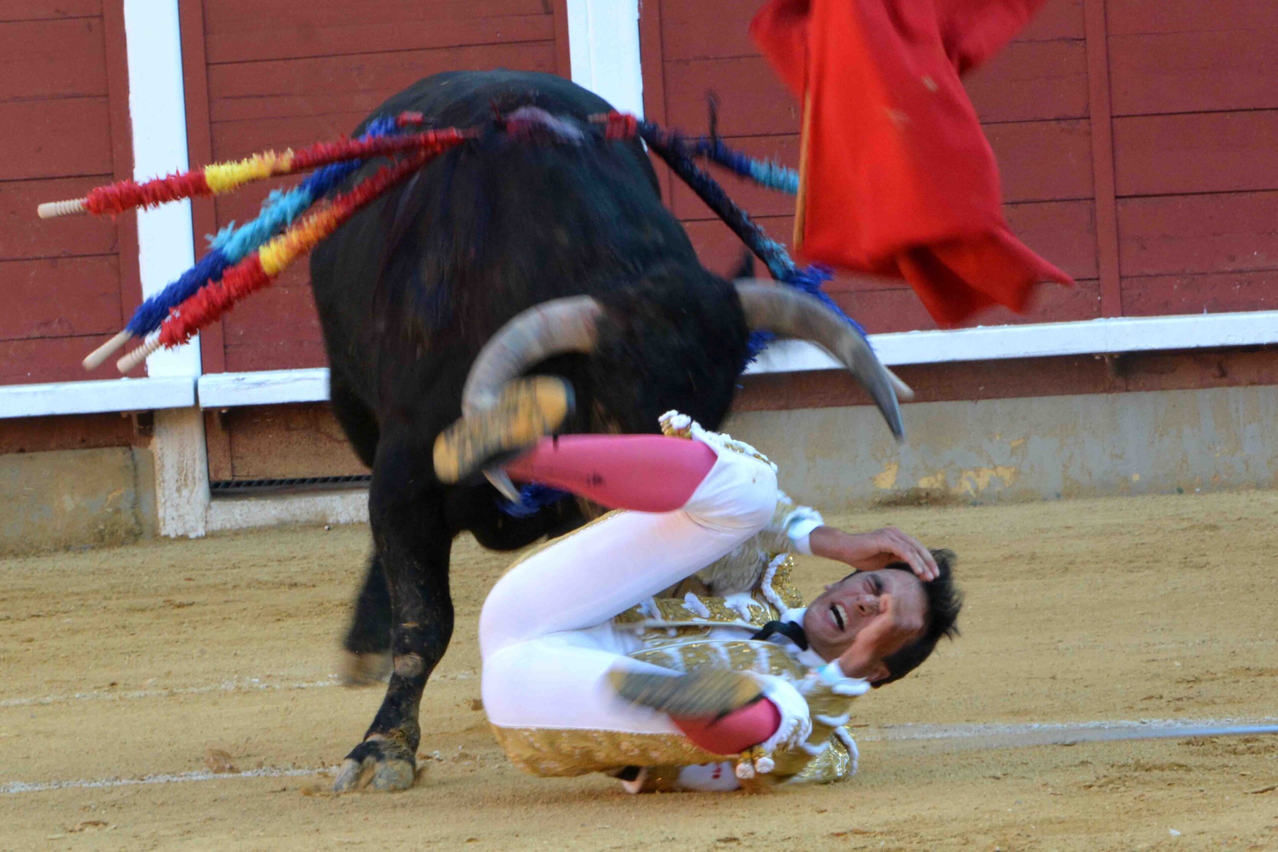 Susto de Filiberto en Montoro