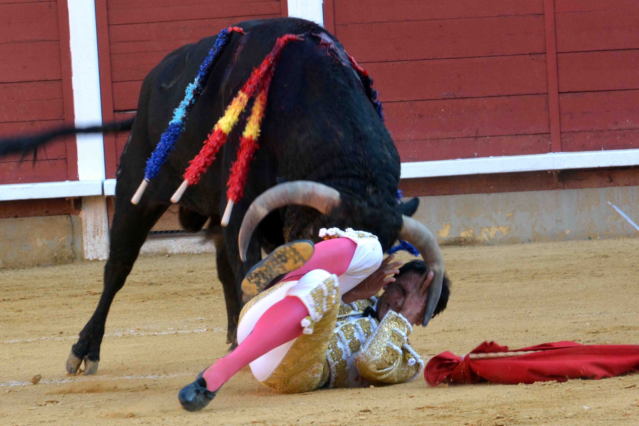 Susto de Filiberto en Montoro