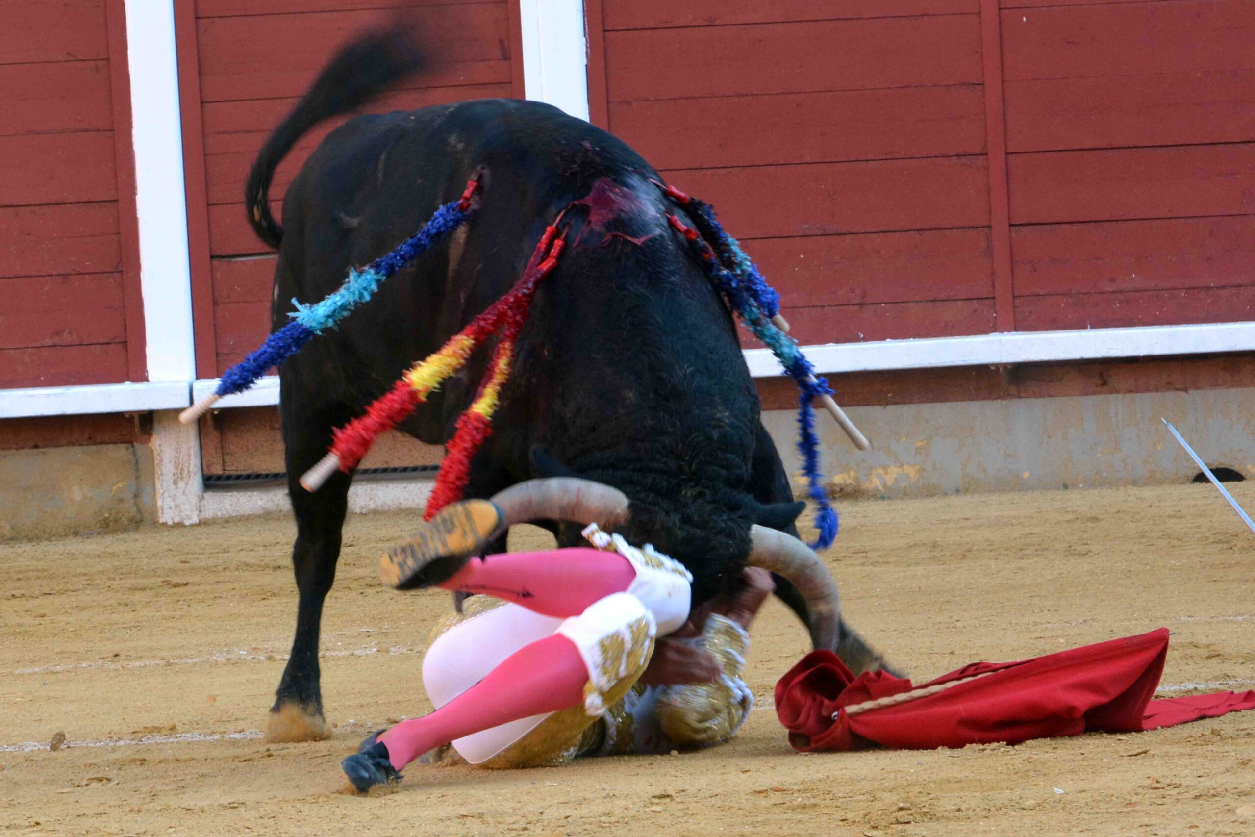 Susto de Filiberto en Montoro