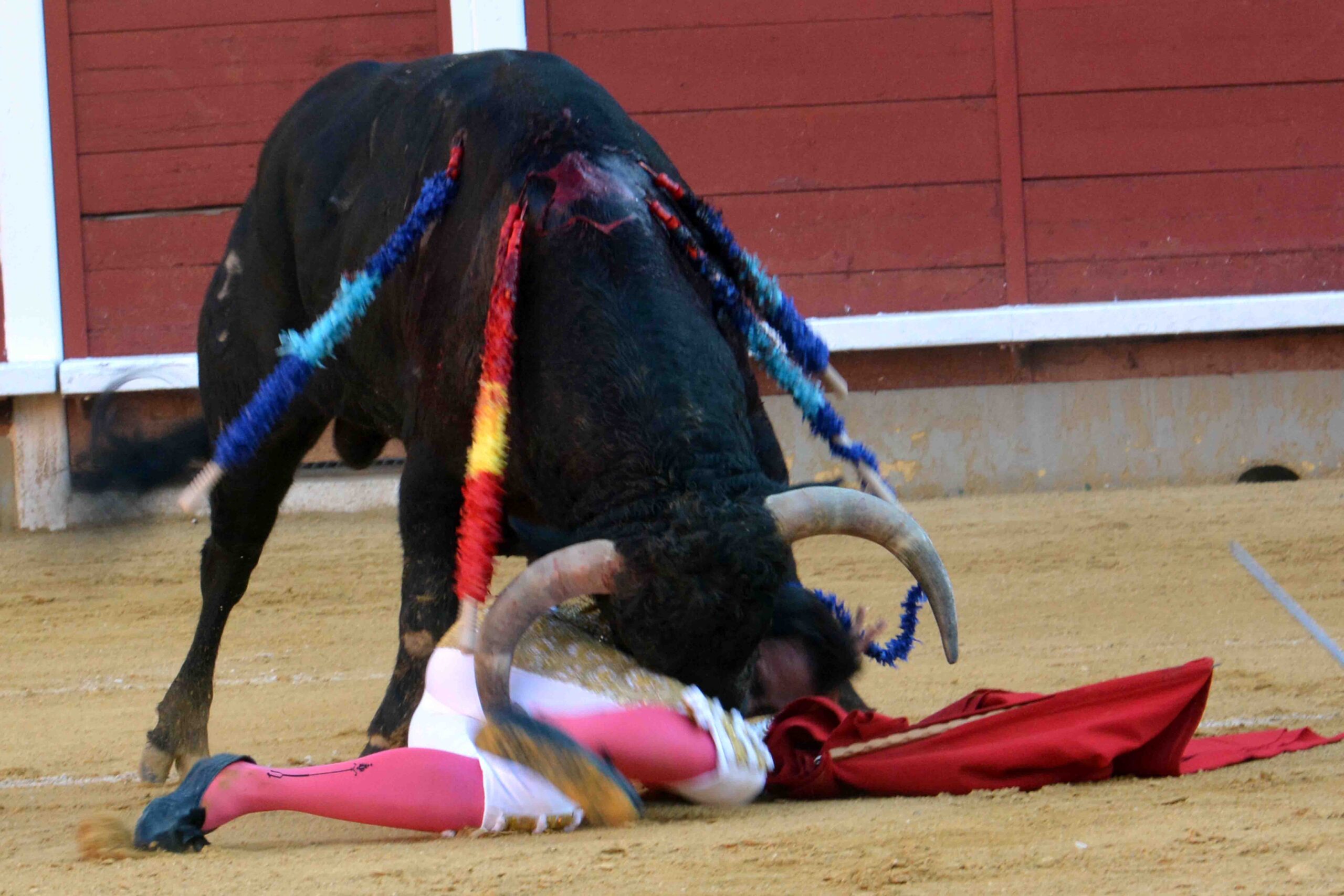 Susto de Filiberto en Montoro