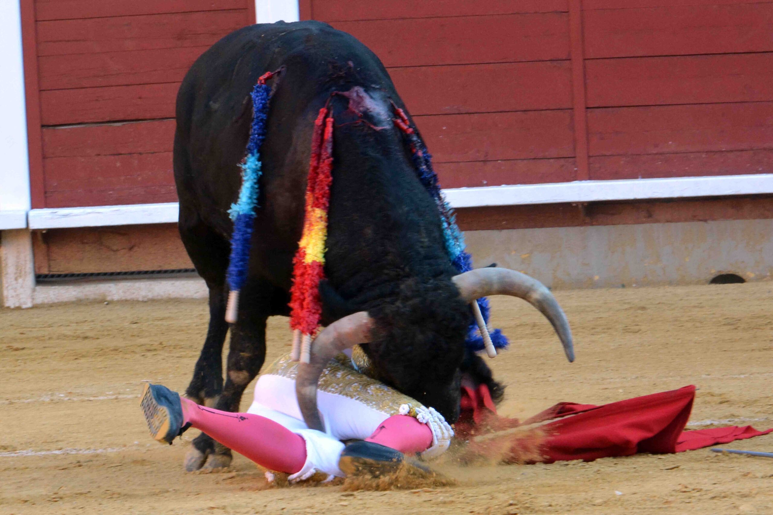 Susto de Filiberto en Montoro