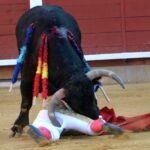 Susto de Filiberto en Montoro