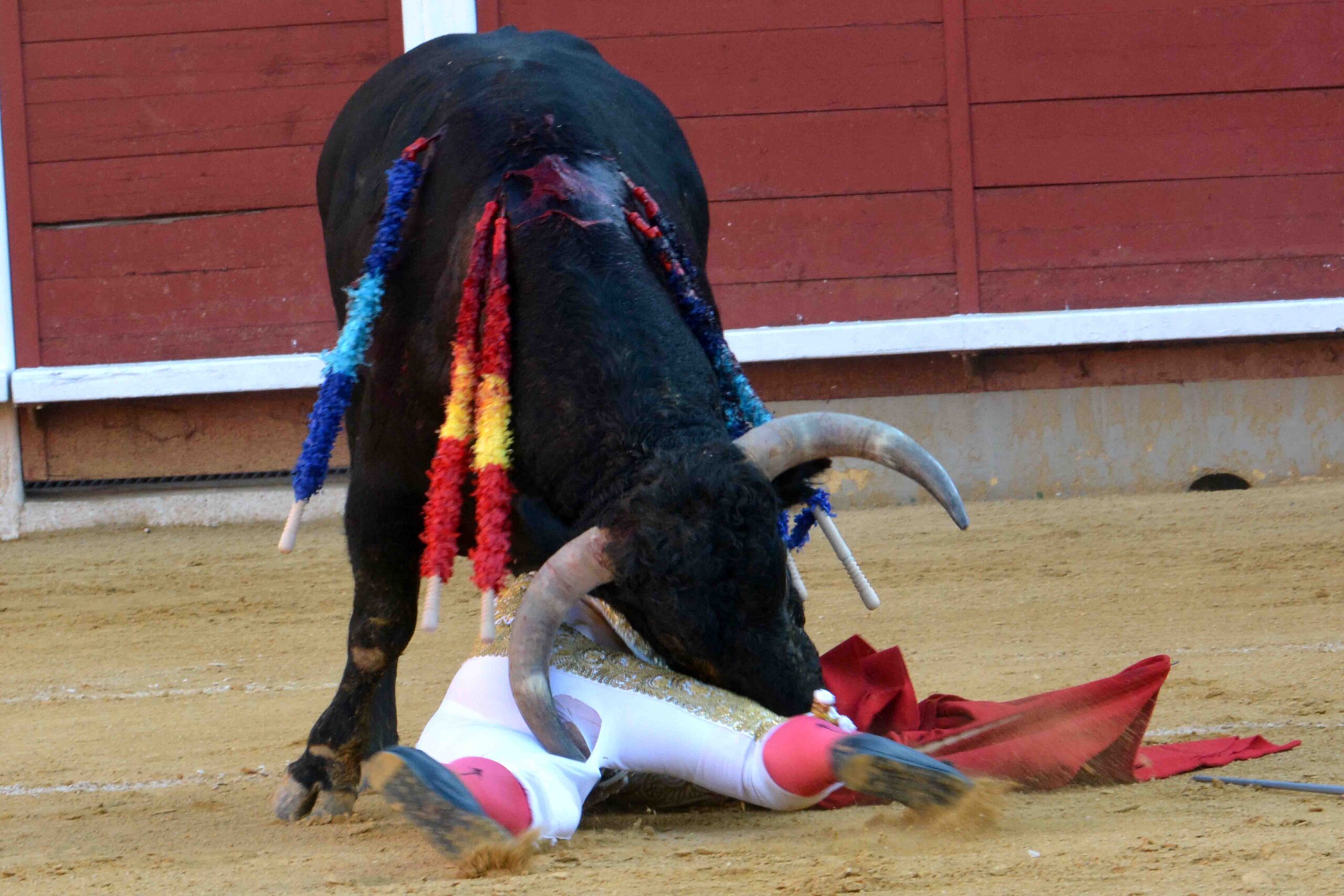 Susto de Filiberto en Montoro