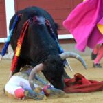 Susto de Filiberto en Montoro