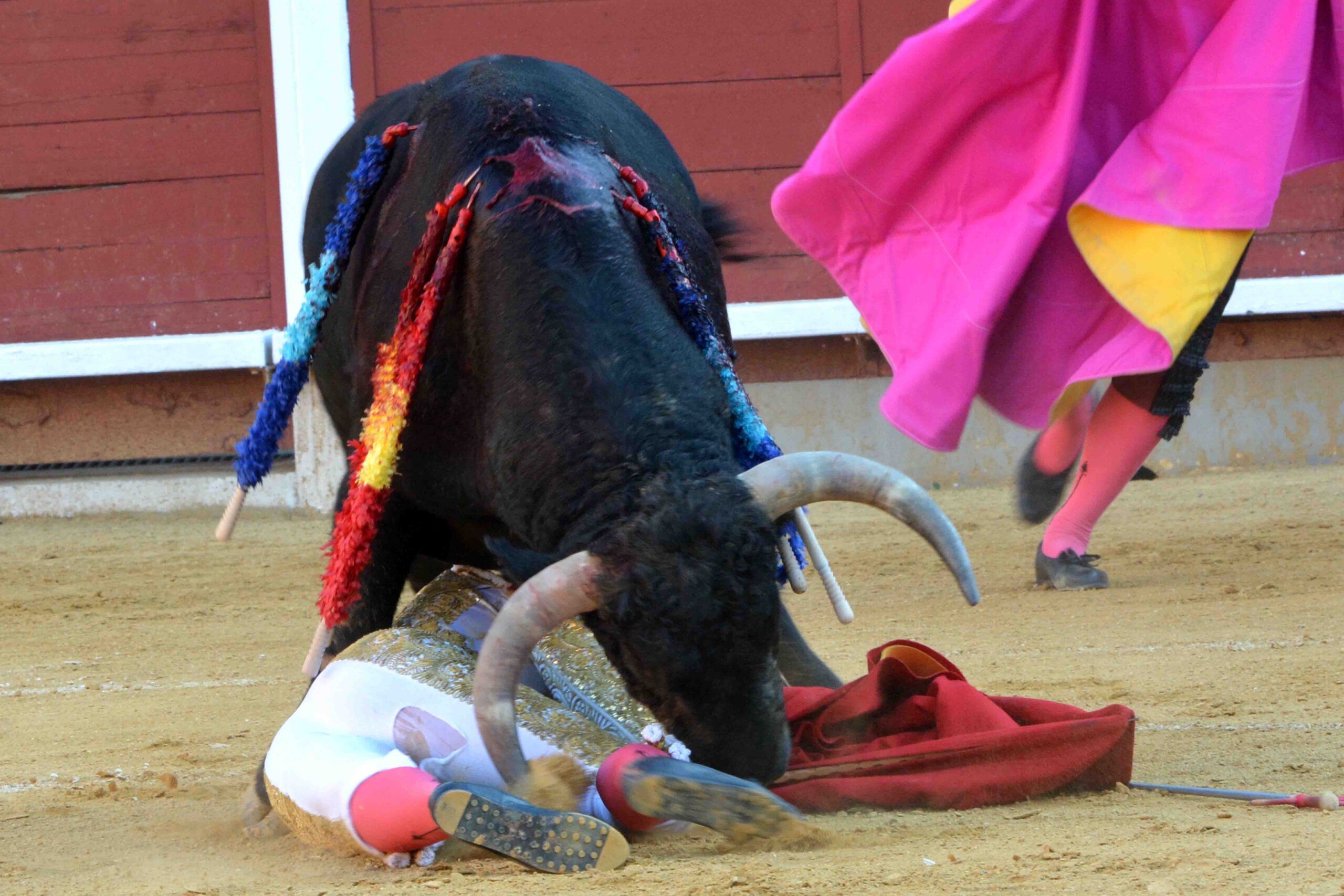 Susto de Filiberto en Montoro