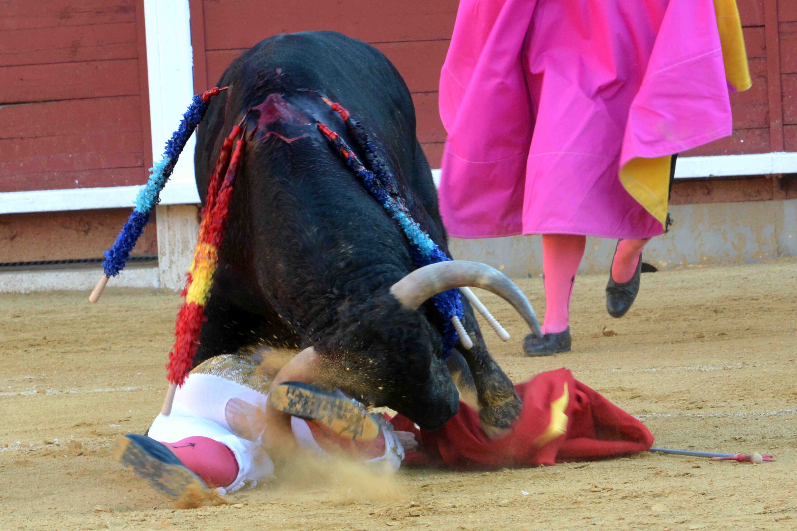 Susto de Filiberto en Montoro