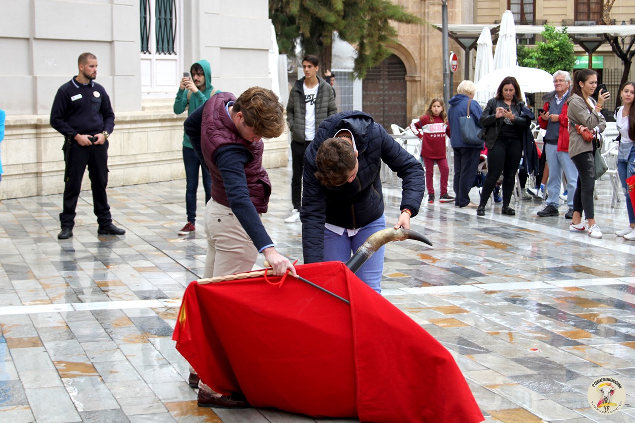 Murcia - II Congreso Internacional de Tauromaquia