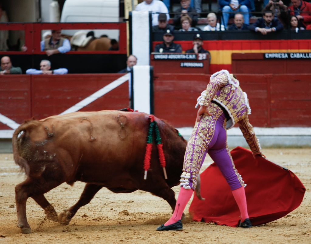 Jaén - Sábado 20 de octubre de 2018 - Feria de San Lucas