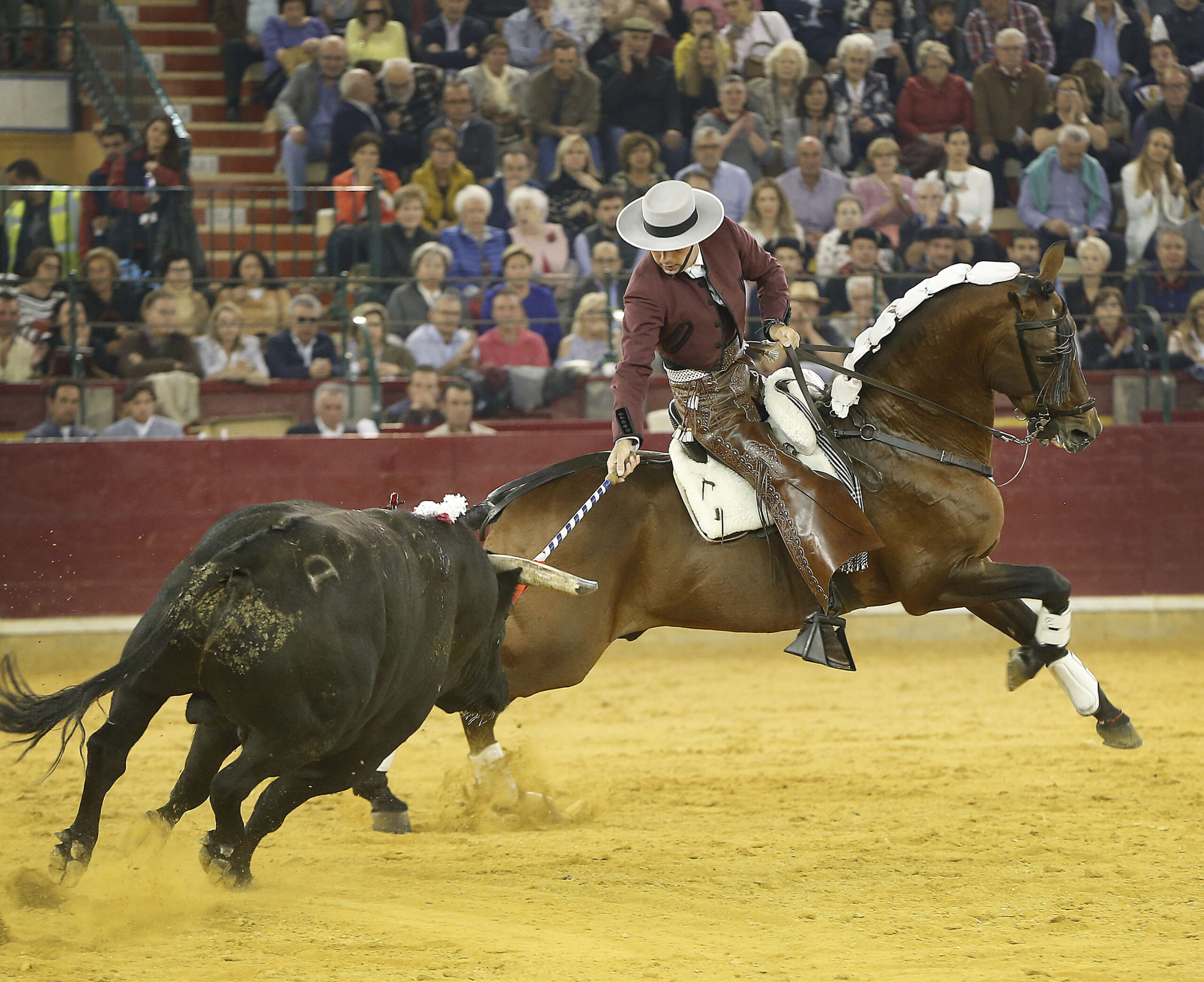 Zaragoza - Feria del Pilar - Domingo 7 de octubre de 2018