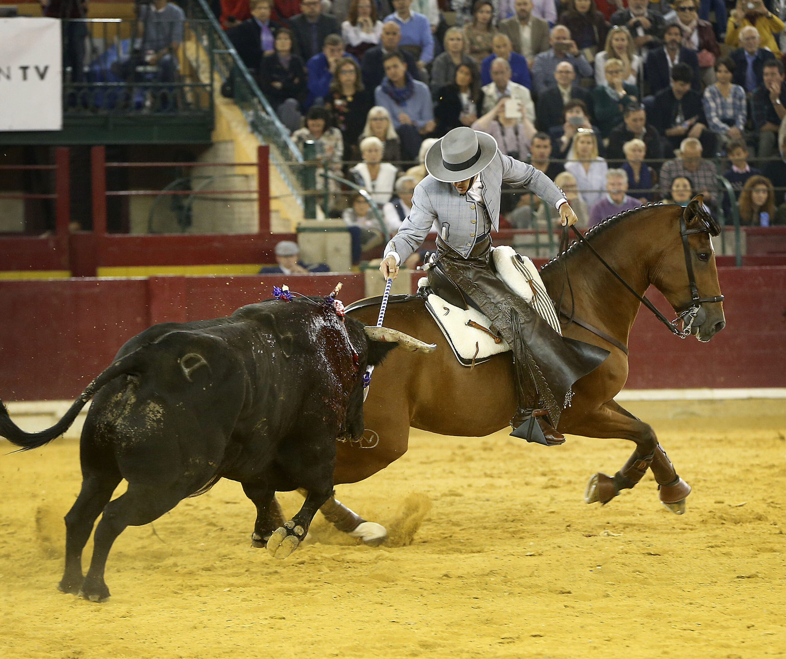 Zaragoza - Feria del Pilar - Domingo 7 de octubre de 2018