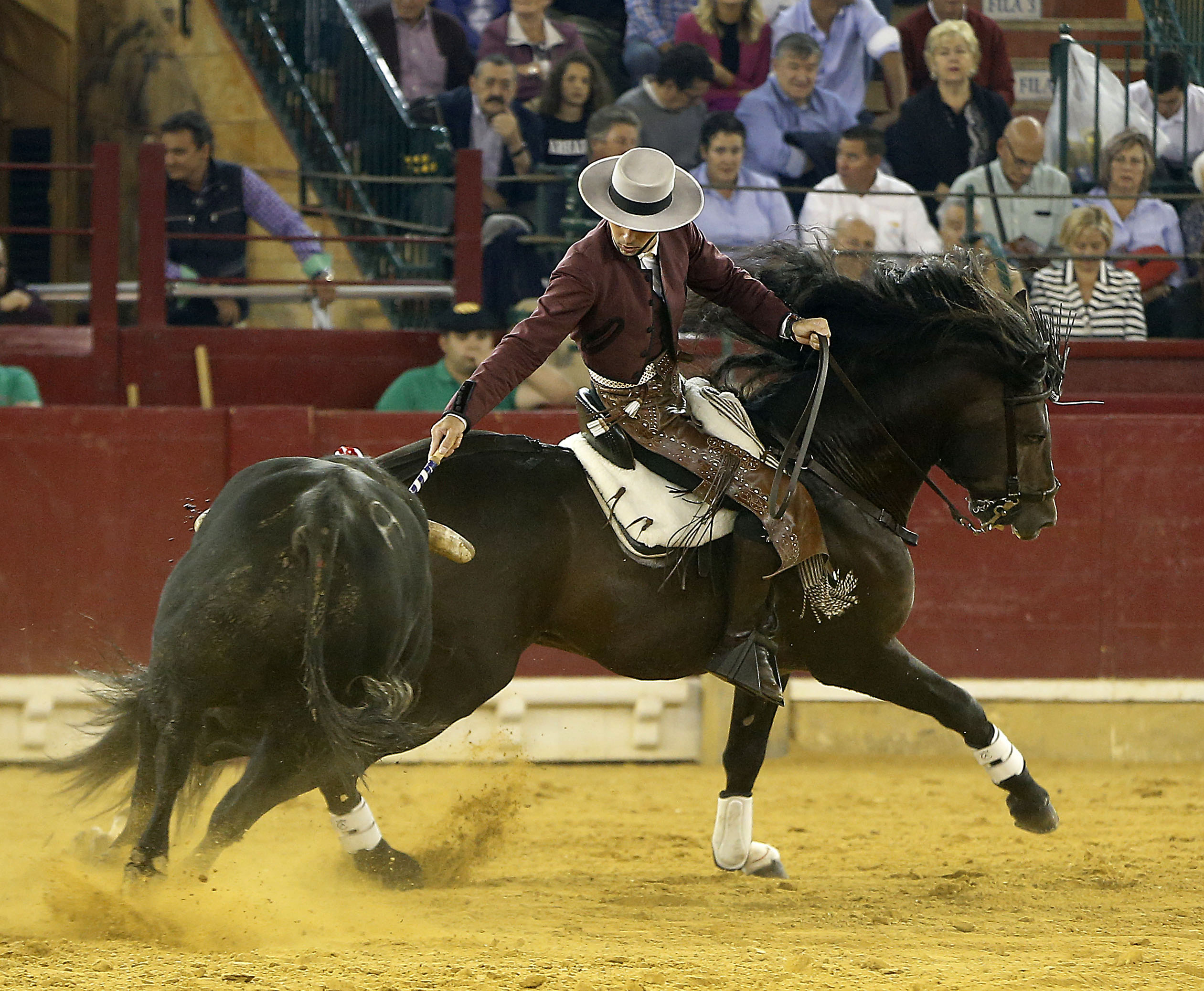 Zaragoza - Feria del Pilar - Domingo 7 de octubre de 2018