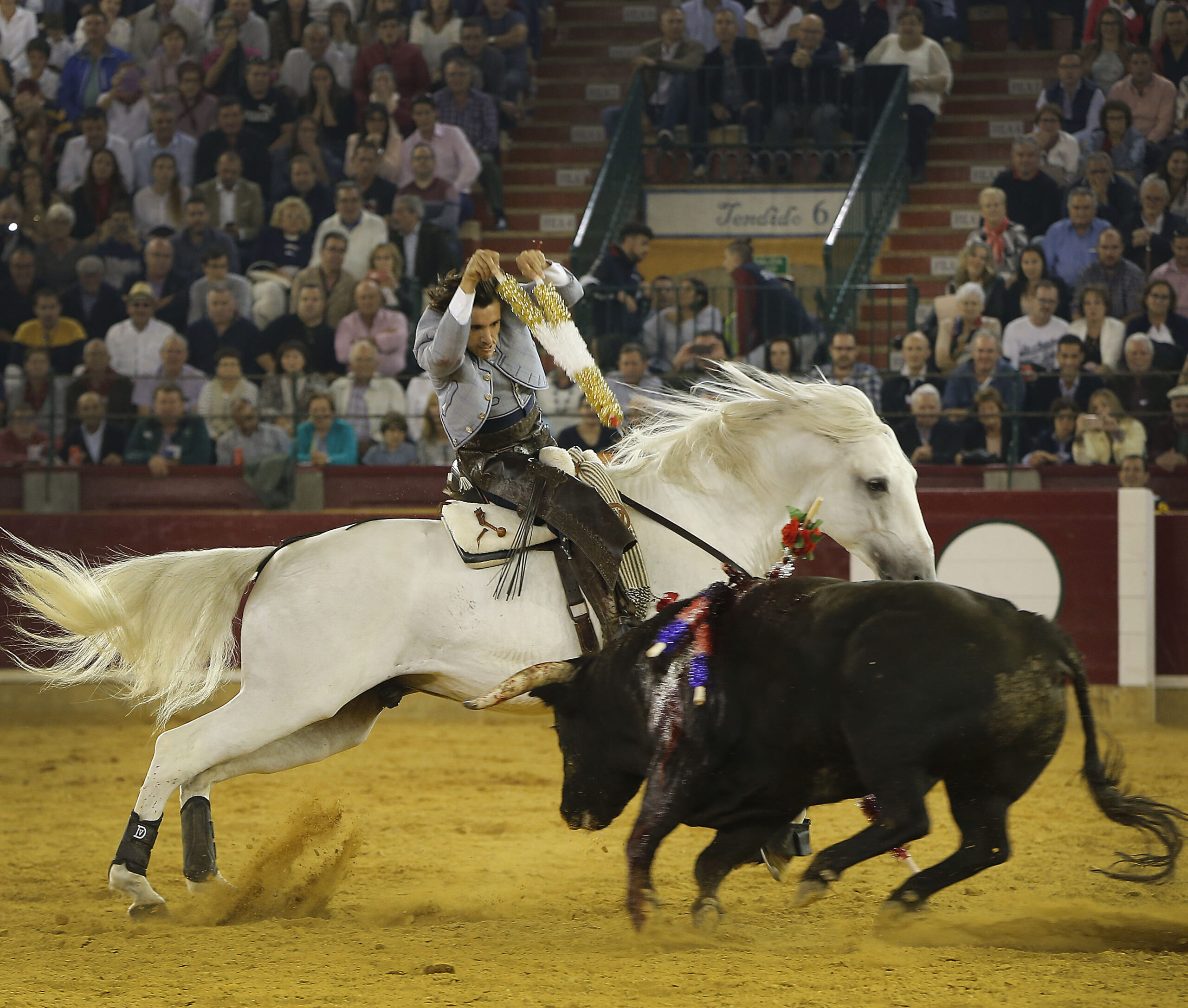 Zaragoza - Feria del Pilar - Domingo 7 de octubre de 2018