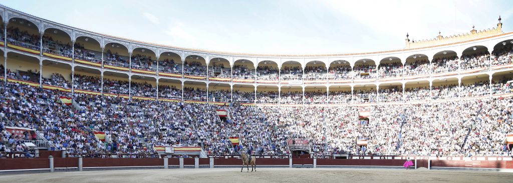 Madrid - Feria de Otoño - Sábado 6 de octubre de 2018