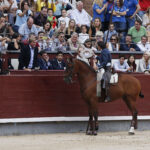 Madrid - Feria de Otoño - Sábado 6 de octubre de 2018