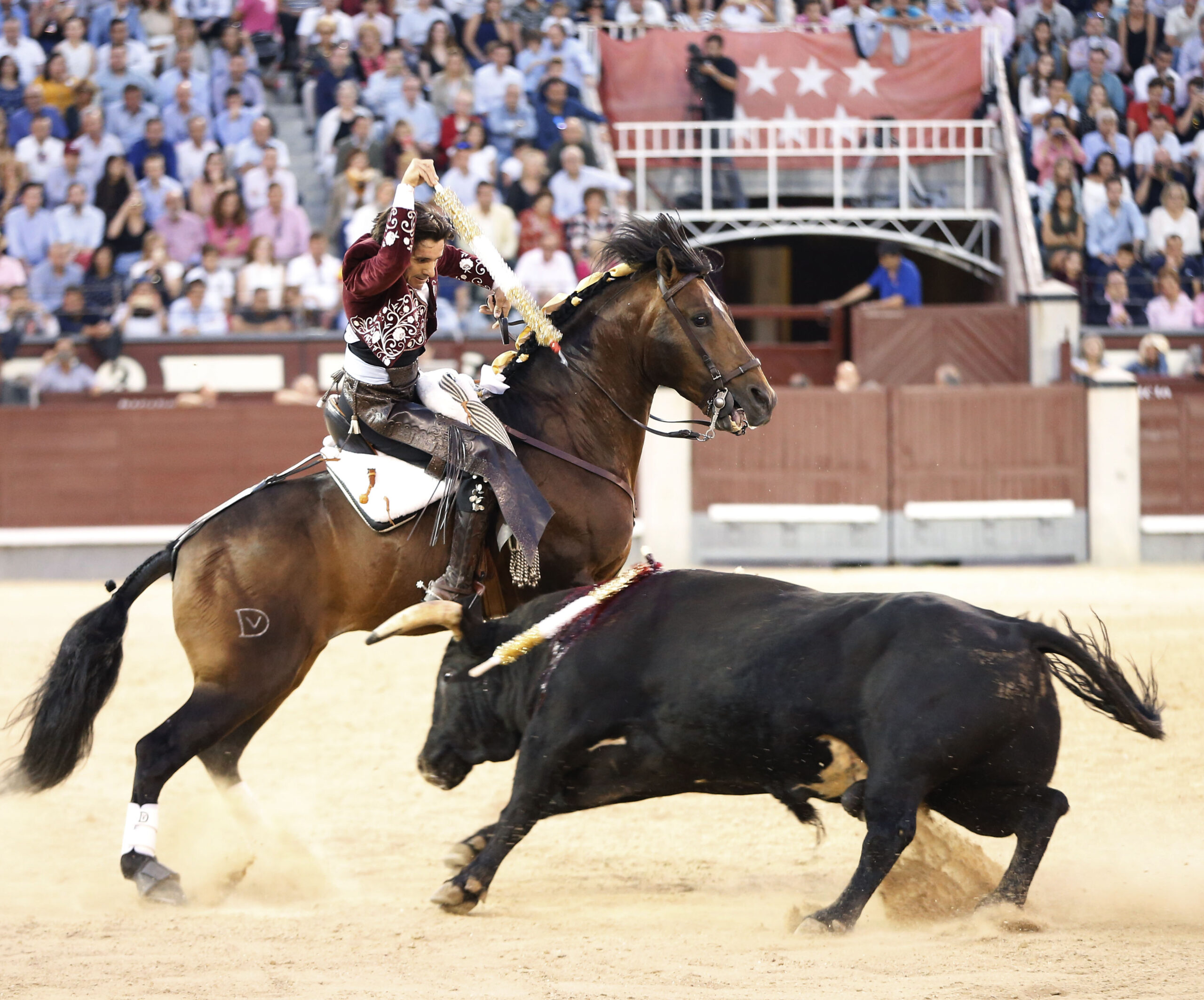 Madrid - Feria de Otoño - Sábado 6 de octubre de 2018