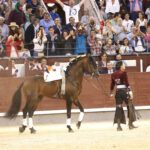 Madrid - Feria de Otoño - Sábado 6 de octubre de 2018