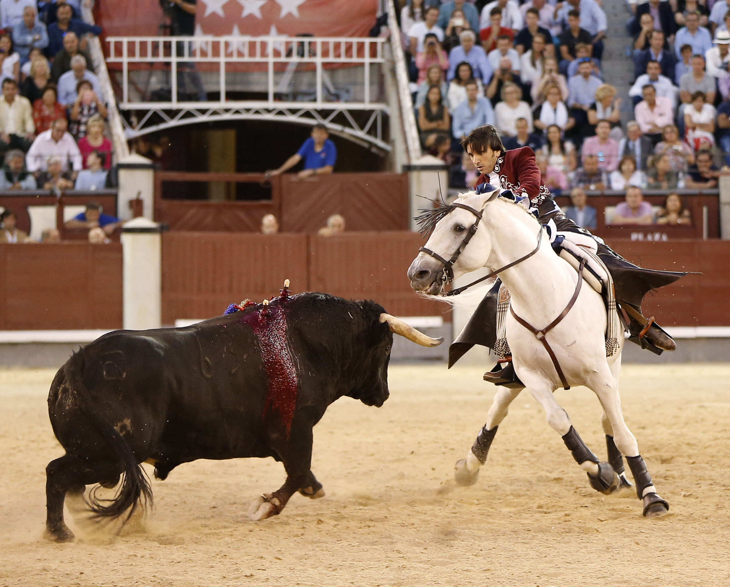 Madrid - Feria de Otoño - Sábado 6 de octubre de 2018