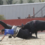 Percance en Zaraputz