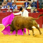 Zaragoza - Feria del Pilar - Sábado 6 de octubre de 2018
