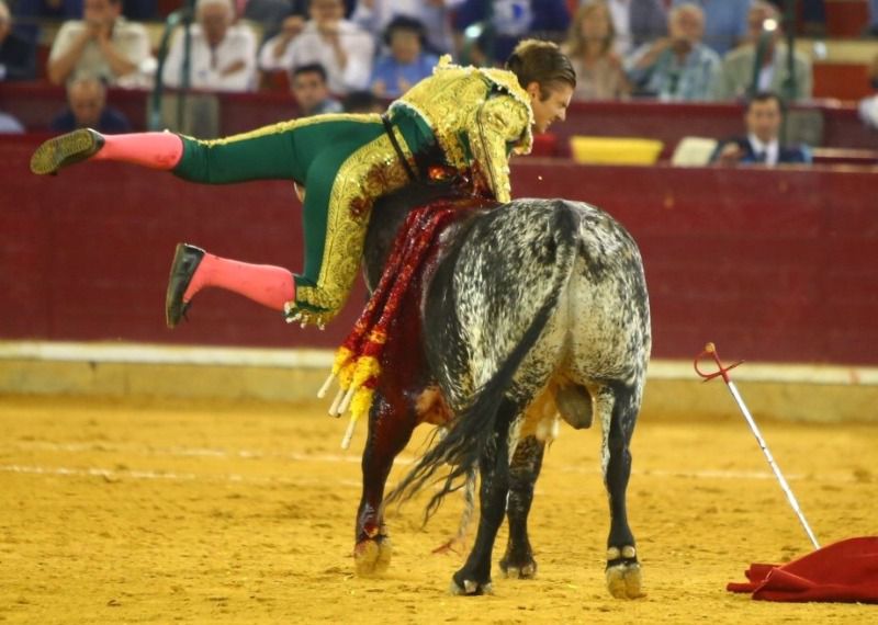 Mora: cornada en el triángulo de Scarpa con cinco trayectorias de pronóstico grave