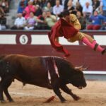 Madrid - Feria de Otoño - Domingo 7 de octubre de 2018