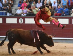 Madrid - Feria de Otoño - Domingo 7 de octubre de 2018