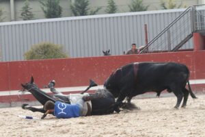 Percance en Zaraputz