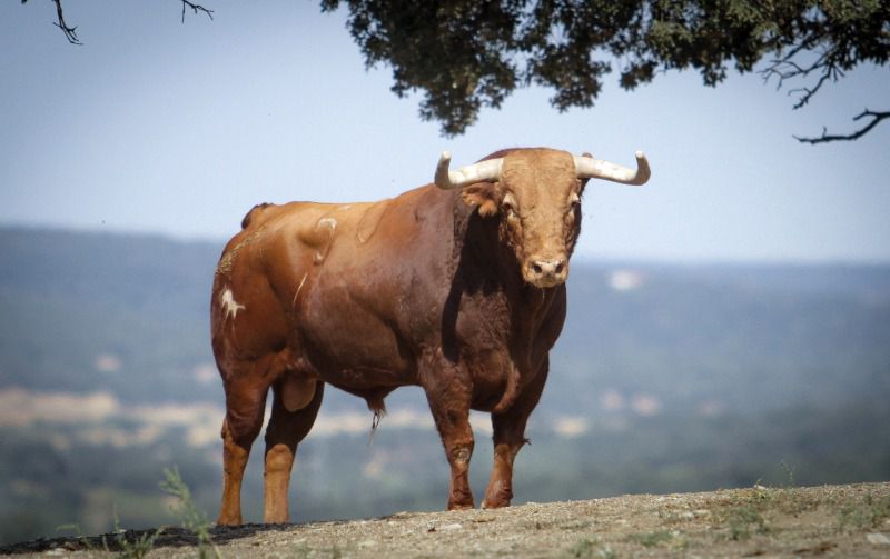 El Pilar regresa este lunes a Zaragoza