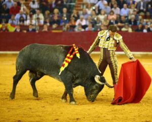 Zaragoza. Jueves 11 de octubre de 2018.