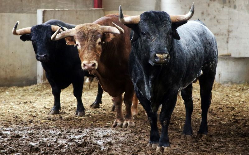 Orden de lidia de los toros para la encerrona de El Juli