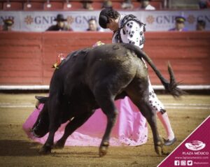 El Galo, lanceando al novillo que le hirió.
