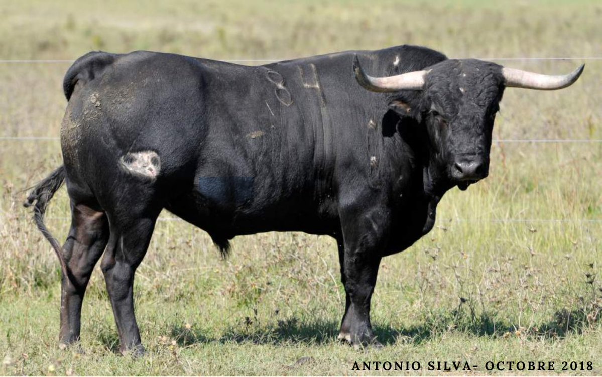 Boujan sur Libron apuesta por el torismo portugués